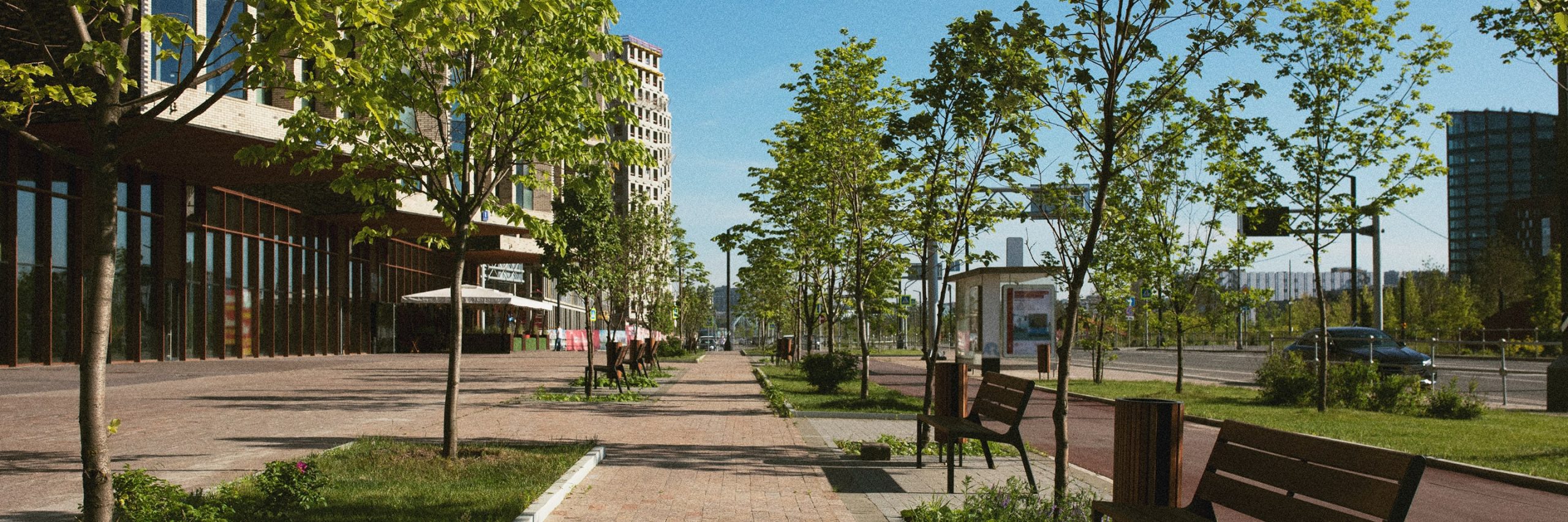 City walkway with greenery