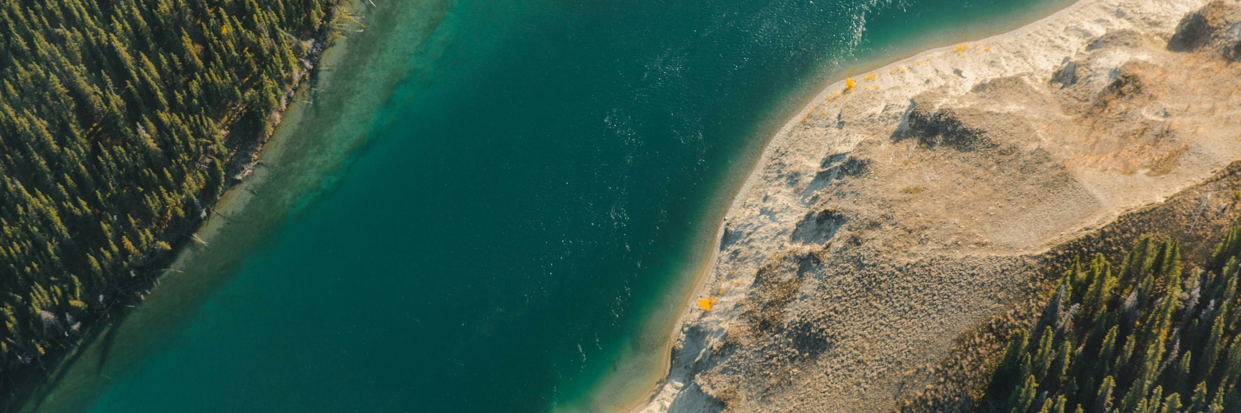 Beautiful water between a lush forest and a sandy beach